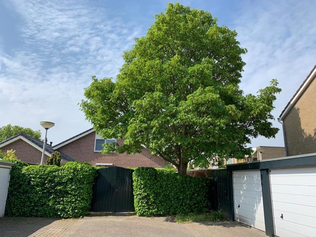 Oostvoornsch Gastenverblijf Oostvoorne Kültér fotó