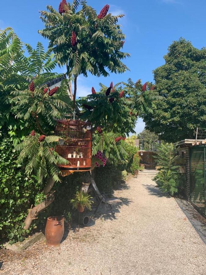 Oostvoornsch Gastenverblijf Oostvoorne Kültér fotó